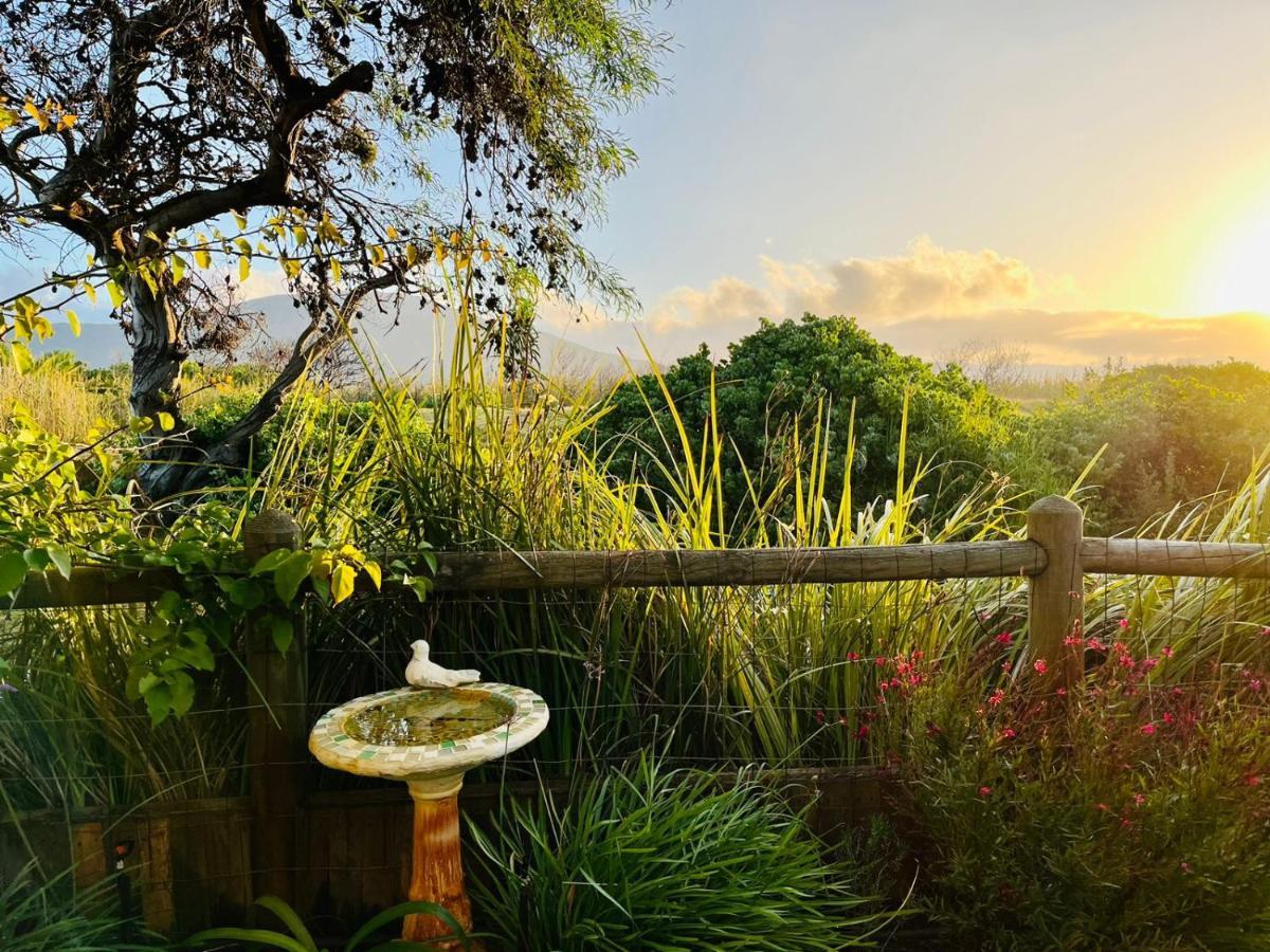 Sunbird Cottage Noordhoek Exterior photo