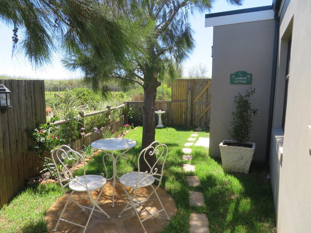 Sunbird Cottage Noordhoek Exterior photo
